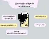 Colostrum zawiera laktoferynę, immunoglobuliny i inne substancje. Co lepsze colostrum czy laktoferyna? Obrazek pokazuje składniki colostrum.