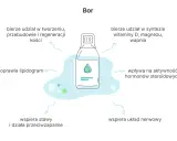 Bor: wspiera kości, stawy, układ nerwowy, syntezę witamin i hormonów. Poprawia lipidogram, a jego działanie jest przeciwzapalne.