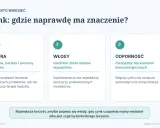Cynk na odporność: niezbędny dla komórek immunologicznych. Obraz przedstawia trzy obszary, gdzie cynk ma znaczenie: skóra, włosy i odporność.