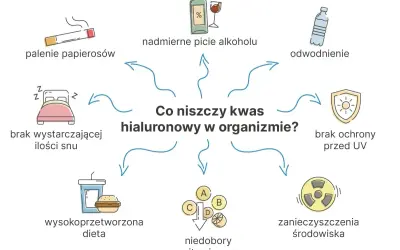 Co niszczy kwas hialuronowy: palenie, alkohol, brak snu, zła dieta, niedobory witamin, odwodnienie, UV, zanieczyszczenia.