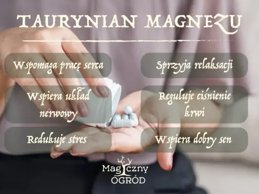 Taurynian magnezu wspiera serce, układ nerwowy, relaksację i sen. Choć nie ma tu mowy o skutkach ubocznych, warto pamiętać o jego dobroczynnym działaniu.