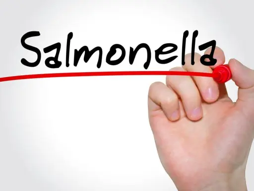 Objawy salmonelli u dziecka: Kiedy alarm? Poradnik dla rodziców