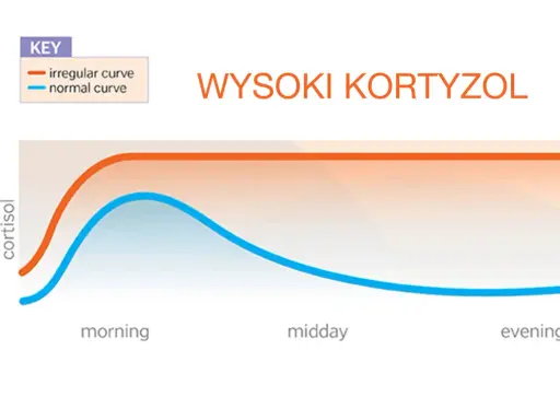 Wysoki kortyzol? Rozpoznaj objawy i obniż go naturalnie!