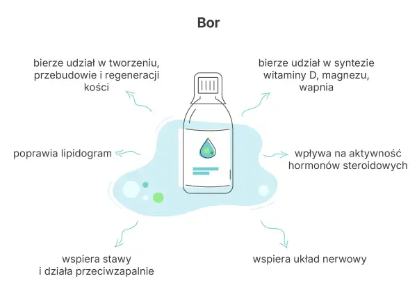 Bor: wspiera kości, stawy, układ nerwowy, syntezę witamin i hormonów. Poprawia lipidogram, a jego działanie jest przeciwzapalne.