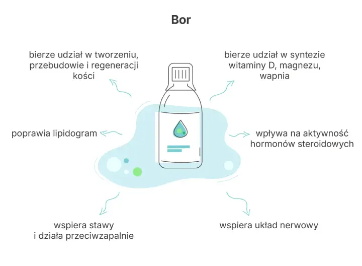 Bor: wspiera kości, stawy, układ nerwowy, syntezę witamin i hormonów. Poprawia lipidogram, a jego działanie jest przeciwzapalne.